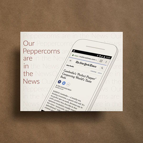 Drøm Print Material